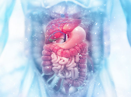 Gastroenterology and Hepatobiliary Sciences